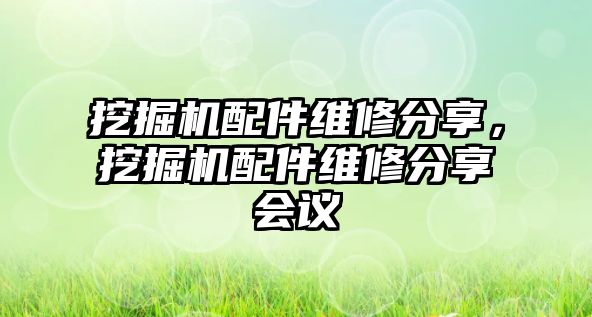 挖掘機配件維修分享，挖掘機配件維修分享會議