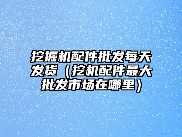 挖掘機(jī)配件批發(fā)每天發(fā)貨（挖機(jī)配件最大批發(fā)市場(chǎng)在哪里）