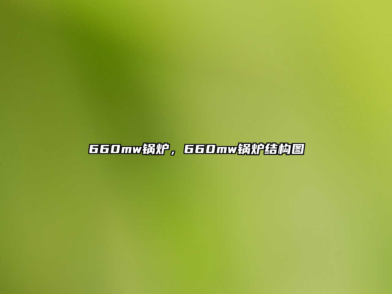 660mw鍋爐，660mw鍋爐結構圖