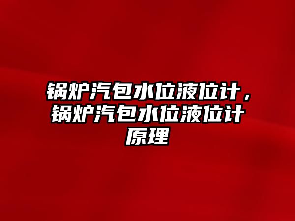 鍋爐汽包水位液位計，鍋爐汽包水位液位計原理