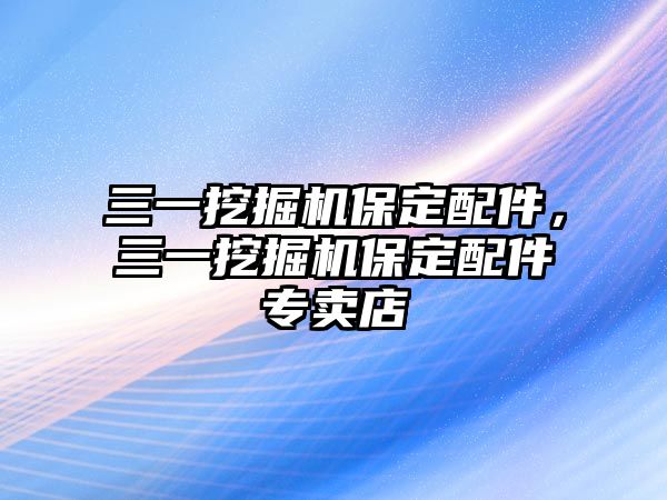 三一挖掘機保定配件，三一挖掘機保定配件專賣店