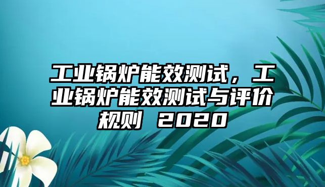 工業(yè)鍋爐能效測試，工業(yè)鍋爐能效測試與評價規(guī)則 2020