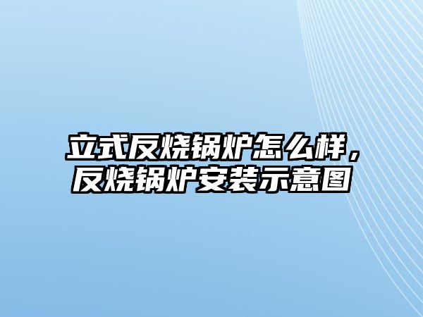 立式反燒鍋爐怎么樣，反燒鍋爐安裝示意圖