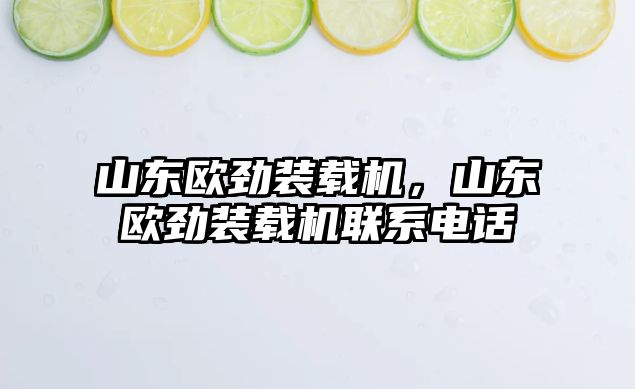 山東歐勁裝載機(jī)，山東歐勁裝載機(jī)聯(lián)系電話