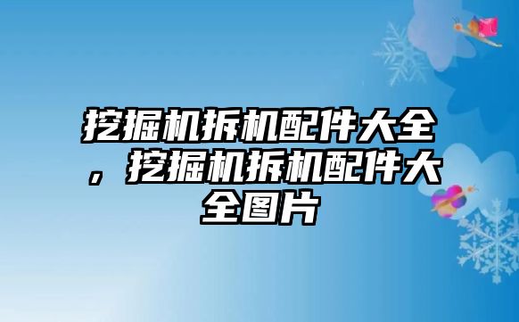 挖掘機拆機配件大全，挖掘機拆機配件大全圖片