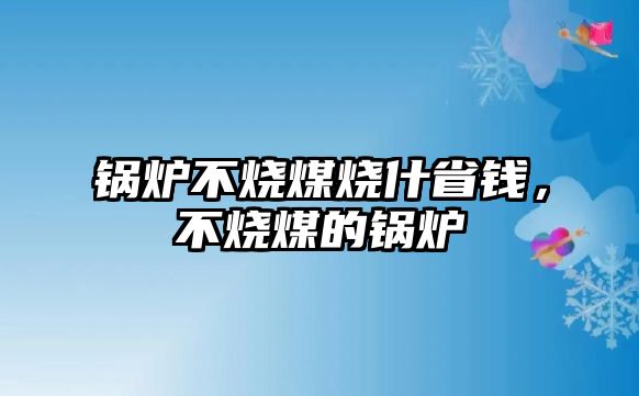 鍋爐不燒煤燒什省錢，不燒煤的鍋爐