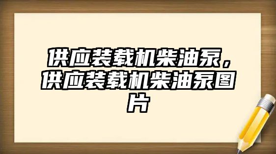 供應(yīng)裝載機(jī)柴油泵，供應(yīng)裝載機(jī)柴油泵圖片