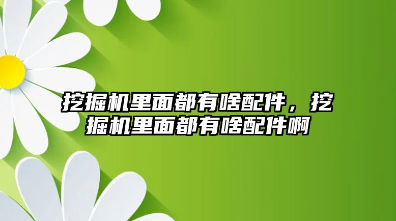 挖掘機里面都有啥配件，挖掘機里面都有啥配件啊