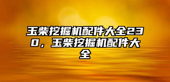 玉柴挖掘機(jī)配件大全230，玉柴挖掘機(jī)配件大全