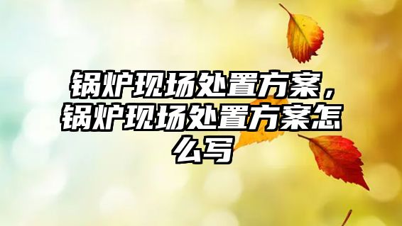 鍋爐現(xiàn)場(chǎng)處置方案，鍋爐現(xiàn)場(chǎng)處置方案怎么寫(xiě)