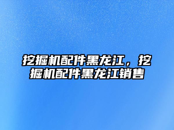 挖掘機(jī)配件黑龍江，挖掘機(jī)配件黑龍江銷售