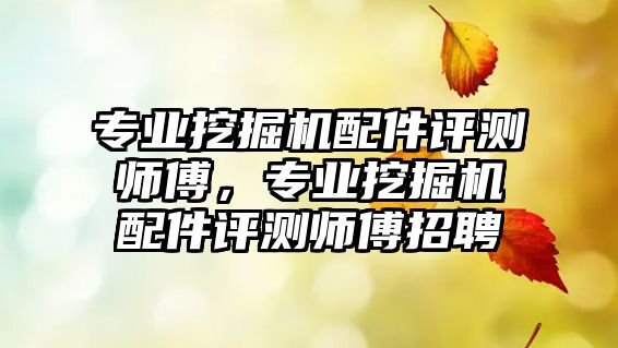 專業(yè)挖掘機配件評測師傅，專業(yè)挖掘機配件評測師傅招聘