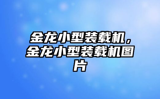 金龍小型裝載機，金龍小型裝載機圖片