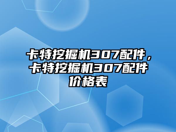 卡特挖掘機(jī)307配件，卡特挖掘機(jī)307配件價(jià)格表