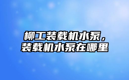 柳工裝載機水泵，裝載機水泵在哪里