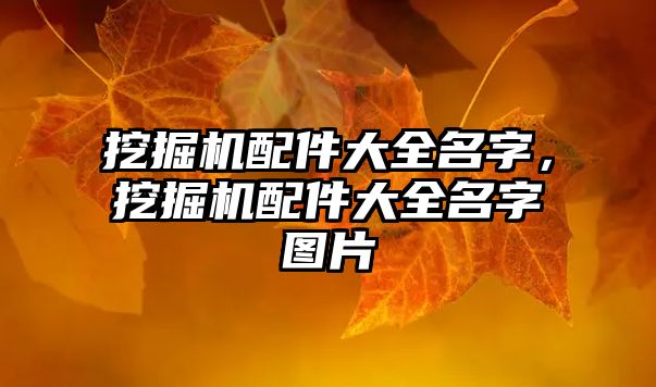 挖掘機配件大全名字，挖掘機配件大全名字圖片