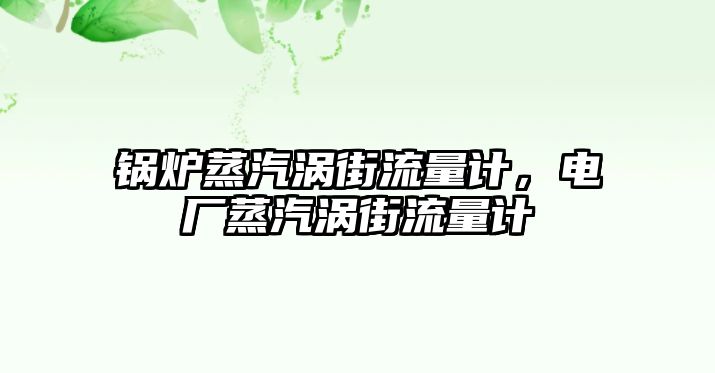 鍋爐蒸汽渦街流量計，電廠蒸汽渦街流量計