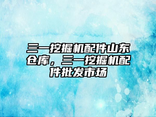 三一挖掘機配件山東倉庫，三一挖掘機配件批發(fā)市場