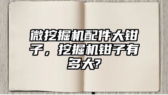 微挖掘機配件大鉗子，挖掘機鉗子有多大?