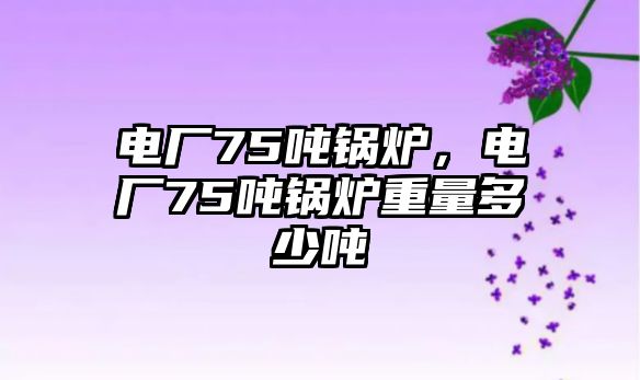 電廠75噸鍋爐，電廠75噸鍋爐重量多少噸