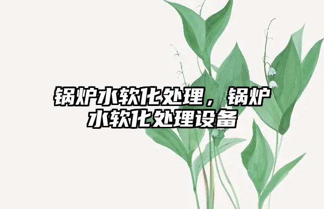 鍋爐水軟化處理，鍋爐水軟化處理設備