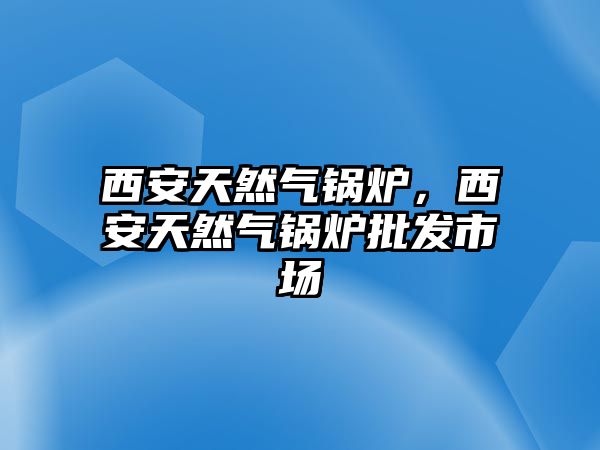 西安天然氣鍋爐，西安天然氣鍋爐批發(fā)市場