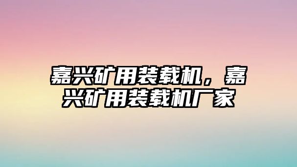 嘉興礦用裝載機，嘉興礦用裝載機廠家