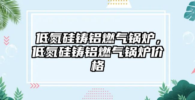 低氮硅鑄鋁燃?xì)忮仩t，低氮硅鑄鋁燃?xì)忮仩t價(jià)格