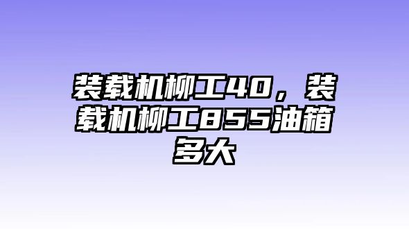 裝載機(jī)柳工40，裝載機(jī)柳工855油箱多大