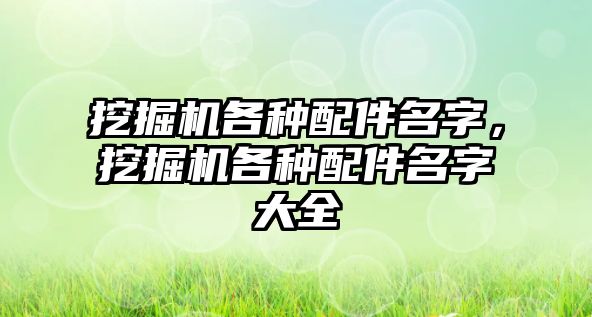 挖掘機各種配件名字，挖掘機各種配件名字大全