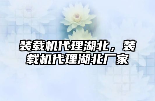 裝載機(jī)代理湖北，裝載機(jī)代理湖北廠(chǎng)家