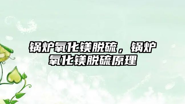 鍋爐氧化鎂脫硫，鍋爐氧化鎂脫硫原理