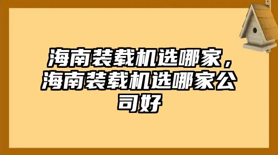 海南裝載機選哪家，海南裝載機選哪家公司好