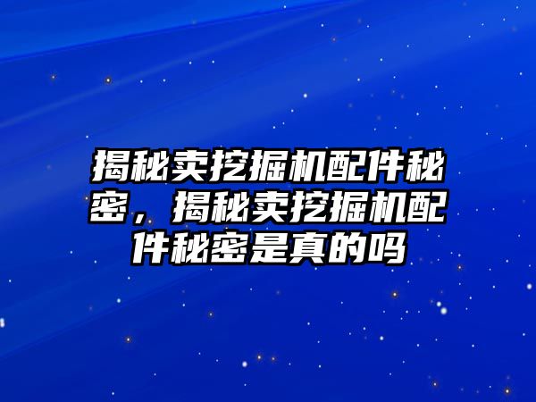 揭秘賣挖掘機配件秘密，揭秘賣挖掘機配件秘密是真的嗎