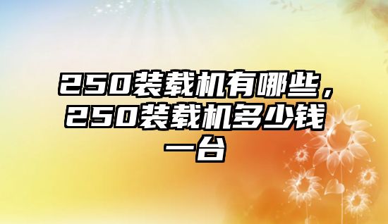 250裝載機有哪些，250裝載機多少錢一臺