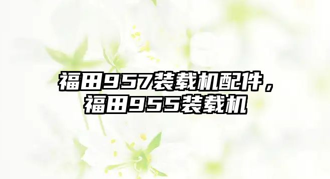 福田957裝載機配件，福田955裝載機