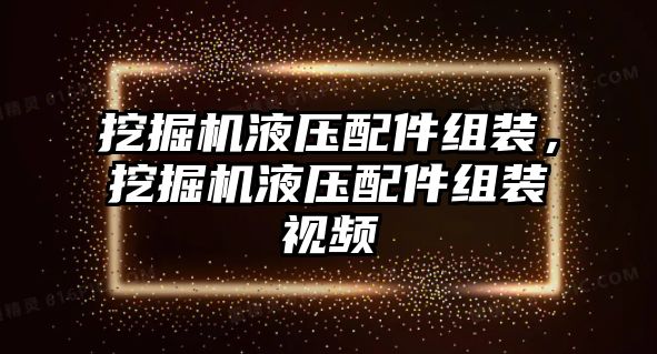 挖掘機(jī)液壓配件組裝，挖掘機(jī)液壓配件組裝視頻