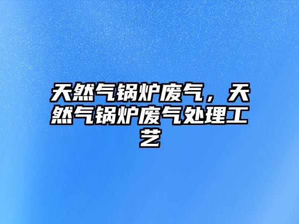 天然氣鍋爐廢氣，天然氣鍋爐廢氣處理工藝