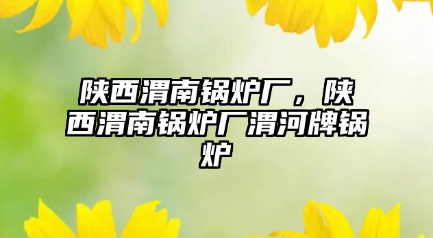 陜西渭南鍋爐廠，陜西渭南鍋爐廠渭河牌鍋爐