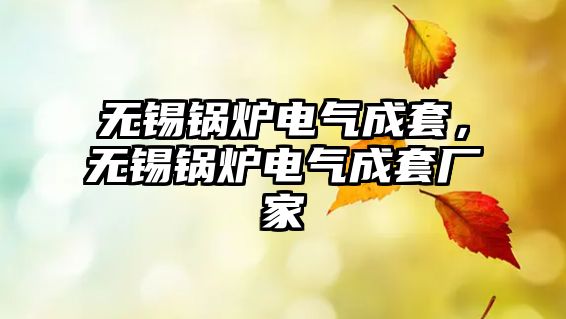 無(wú)錫鍋爐電氣成套，無(wú)錫鍋爐電氣成套廠家