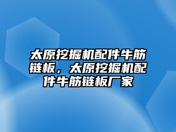 太原挖掘機配件牛筋鏈板，太原挖掘機配件牛筋鏈板廠家