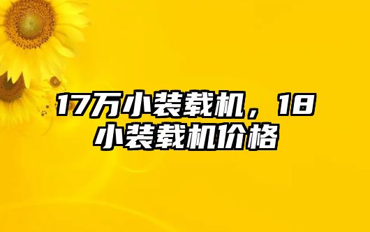 17萬小裝載機(jī)，18小裝載機(jī)價(jià)格