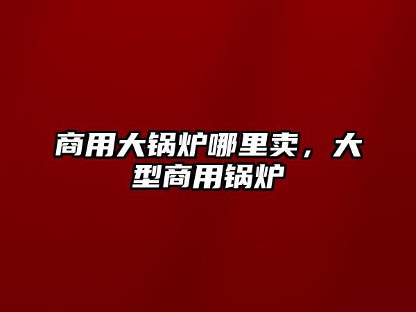 商用大鍋爐哪里賣，大型商用鍋爐