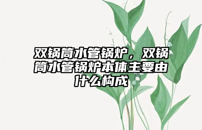 雙鍋筒水管鍋爐，雙鍋筒水管鍋爐本體主要由什么構(gòu)成