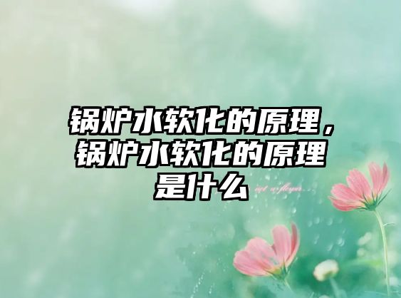 鍋爐水軟化的原理，鍋爐水軟化的原理是什么