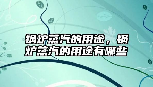 鍋爐蒸汽的用途，鍋爐蒸汽的用途有哪些