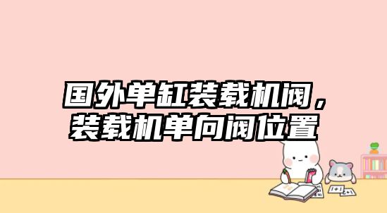 國外單缸裝載機(jī)閥，裝載機(jī)單向閥位置