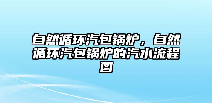 自然循環(huán)汽包鍋爐，自然循環(huán)汽包鍋爐的汽水流程圖