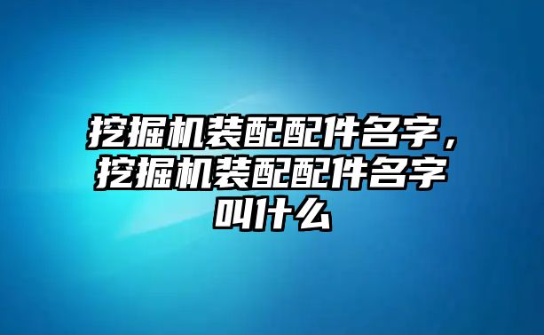 挖掘機(jī)裝配配件名字，挖掘機(jī)裝配配件名字叫什么