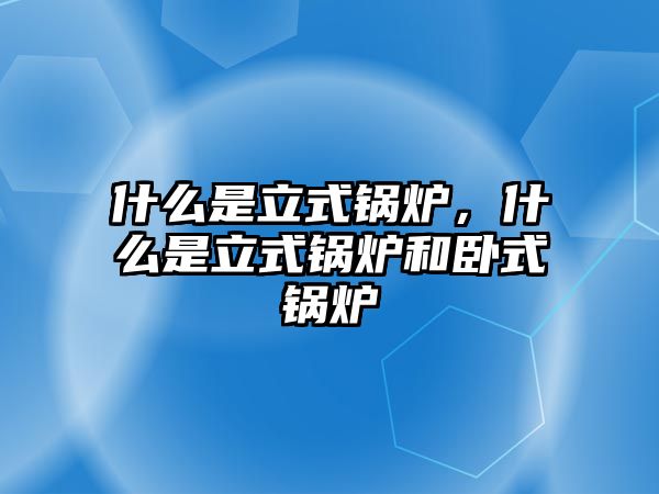 什么是立式鍋爐，什么是立式鍋爐和臥式鍋爐